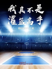 我真的是灌篮高手 小说