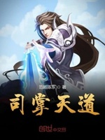 司掌天道小说